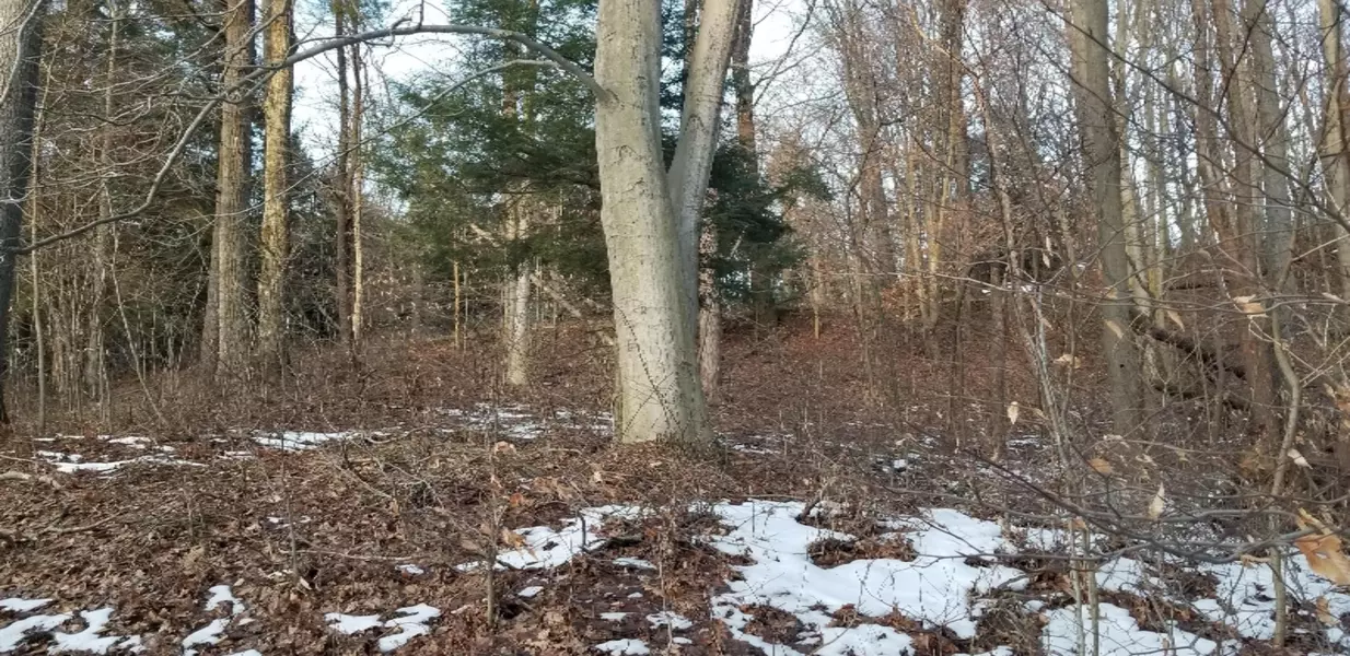 Sable Point Drive, Shelby, MI 49455