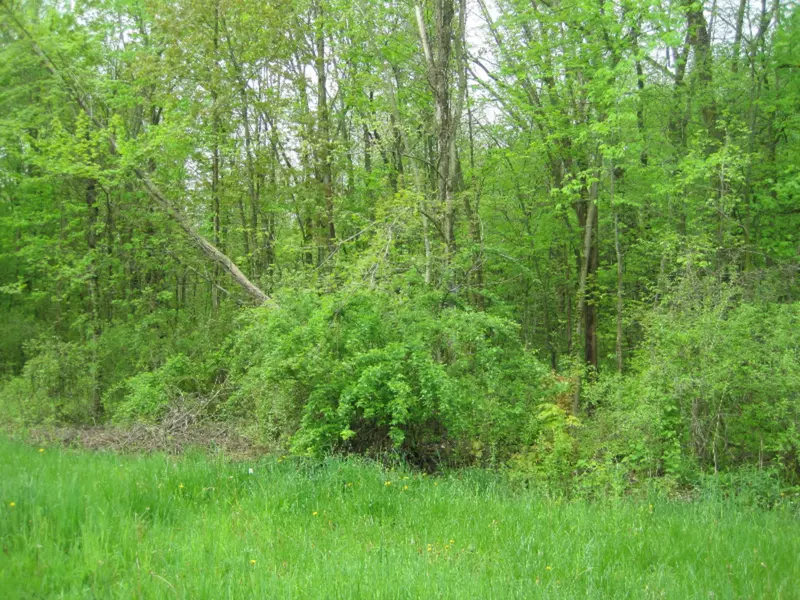 W Pine Street, Bloomingdale, MI 49026