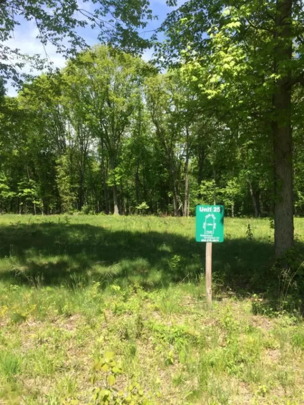 Dowagiac, MI 49047,Misty Pines Lot 24