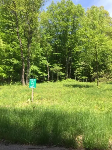 Misty Pines Lots 26 & 27, Dowagiac, MI 49047