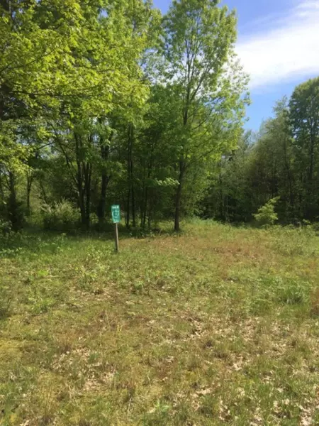 Misty Pines Lots 30 & 31, Dowagiac, MI 49047