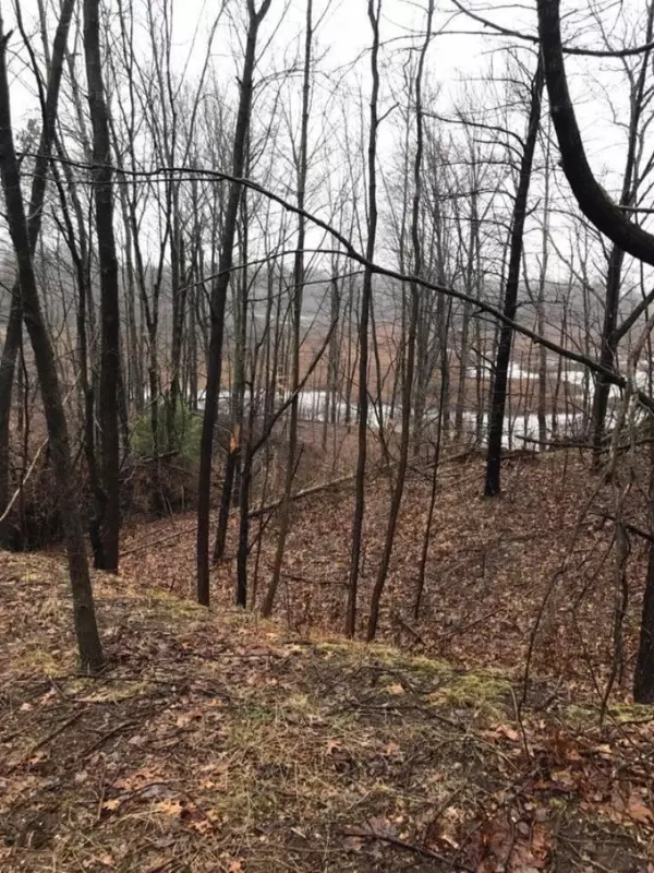 Delton, MI 49046,VL Kirkshire Drive #Parcels A & B