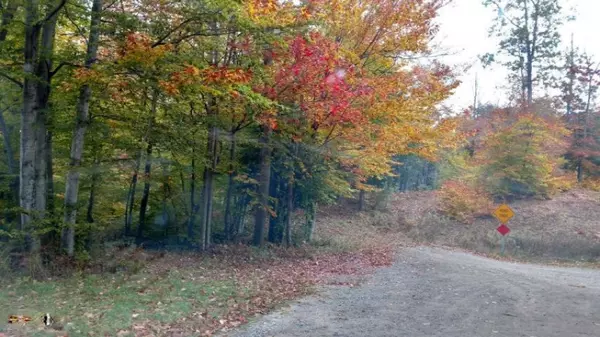 Onekama, MI 49675,2 Acres Woodland Drive