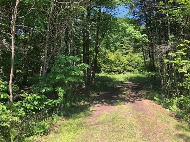 West Olive, MI 49460,0 Butternut Drive