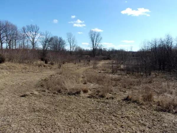 Litchfield, MI 49252,9475 Homer Road