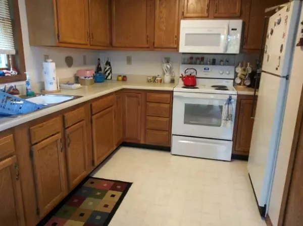 Camden, MI 49232,14335 W Diane Drive