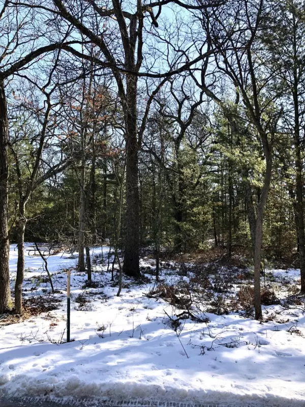 Pentwater, MI 49449,Lot 25 W Vaughan Avenue
