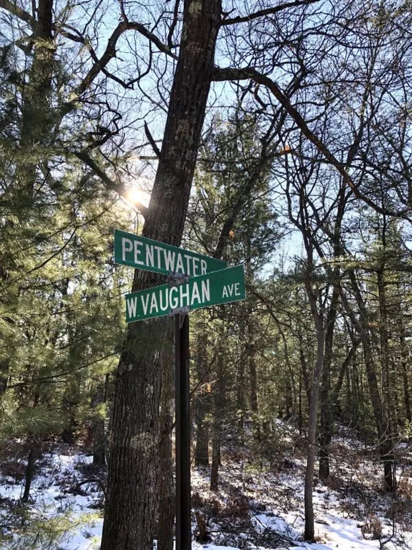 Pentwater, MI 49449,Lot 25 W Vaughan Avenue