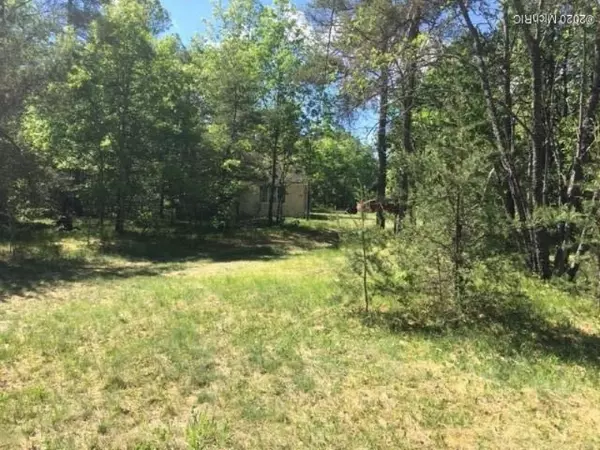 Grayling, MI 49738,1187 W. M-72