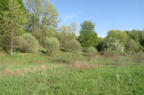 Lowell, MI 49331,3959 Amazon Drive #58