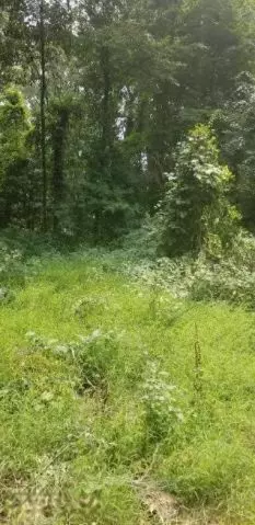 Dowagiac, MI 49047,34 West Street