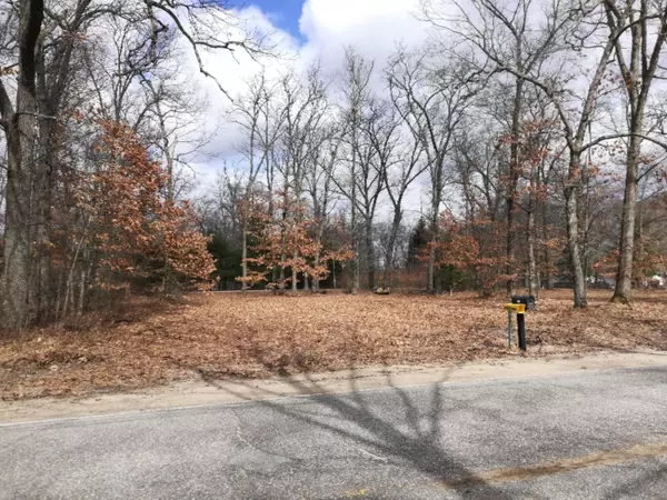 570 W 3 Mile Road, White Cloud, MI 49349