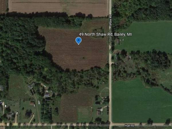 49 N Shaw Road, Bailey, MI 49303