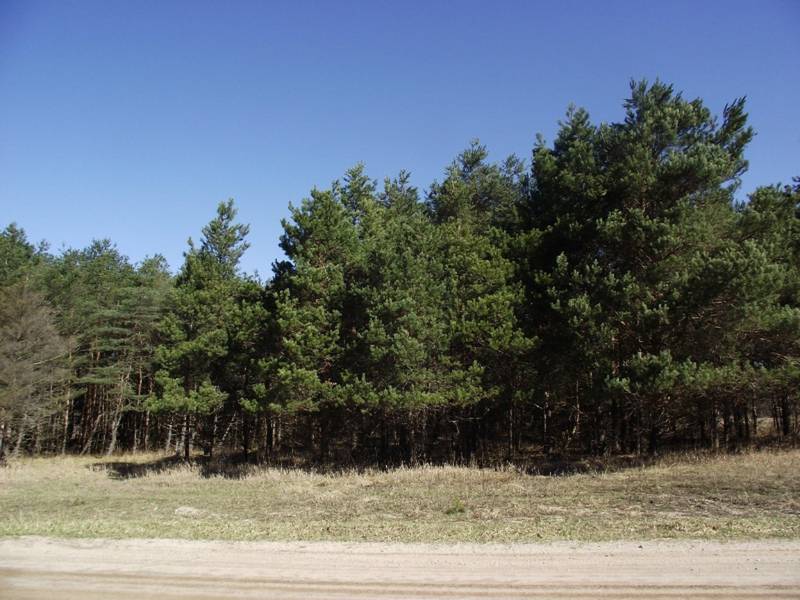 Johnson Road, Kaleva, MI 49645