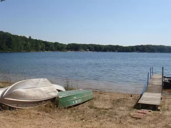 Free Soil, MI 49411,7124 N Poplar Road