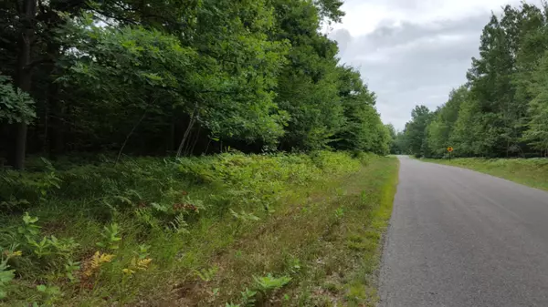 Lot C W Mavis Road, Ludington, MI 49431