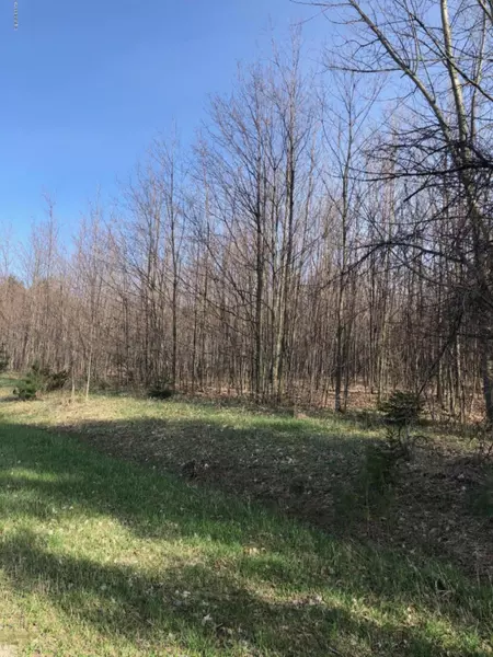 VL 20 Acre Hunt & Howard, Frankfort, MI 49635