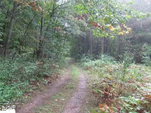 0 Skookum Road, Luther, MI 49656