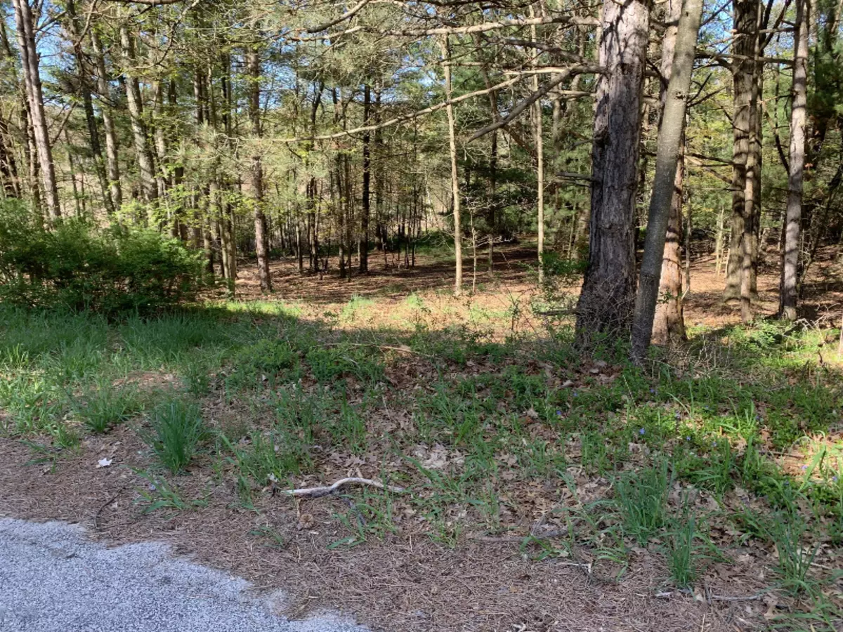 Mears, MI 49436,Lot 67 Ridge Rd