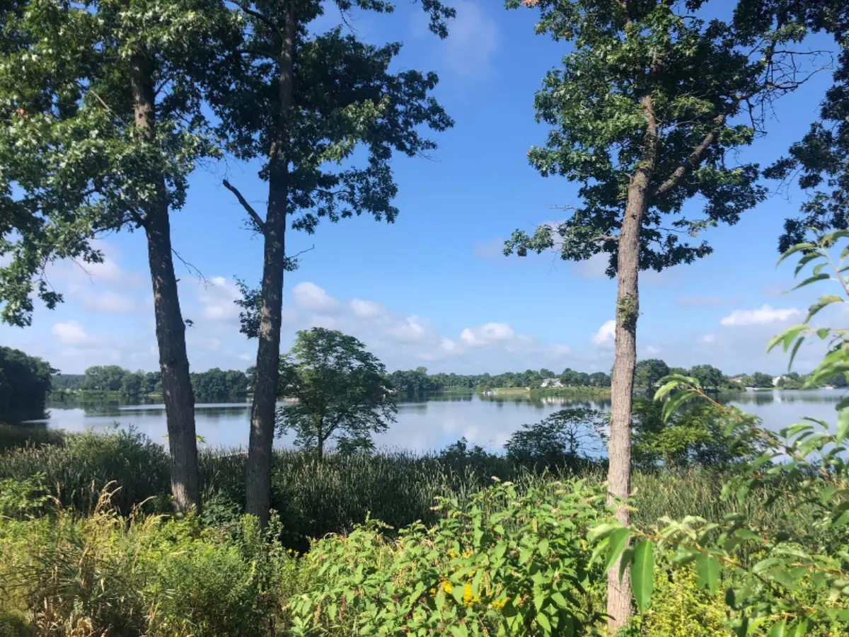 Sturgis, MI 49091,Lot 25 Crystal Beach