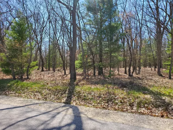 0 Nestrom Road, Whitehall, MI 49461