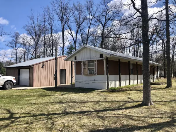 19060 Hoxeyville Road, Wellston, MI 49689