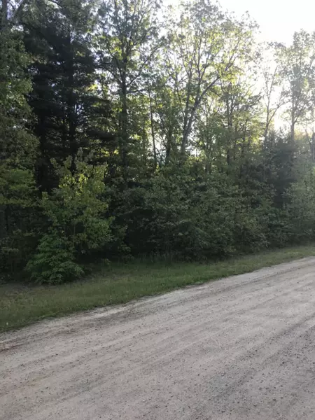 Lot 20 Moore Road, Allegan, MI 49010
