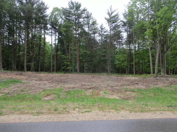 Ludington, MI 49431,6433 W Juliana Drive #Lot  #2