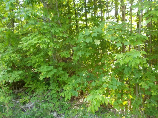 Hart, MI 49420,N Oceana