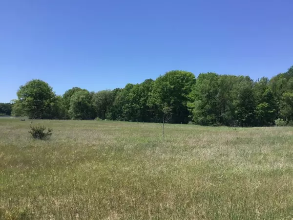 Lot M Meadow View Lane, Hart, MI 49420