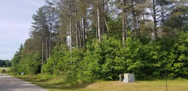 Lot A-3 Meadow View Lane, Hart, MI 49420