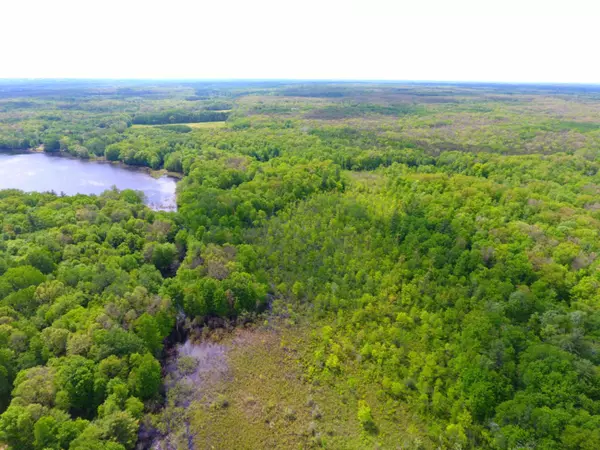 White Cloud, MI 49349,80 Acres Centerline Road