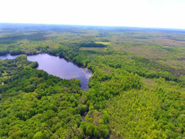 80 Acres Centerline Road, White Cloud, MI 49349