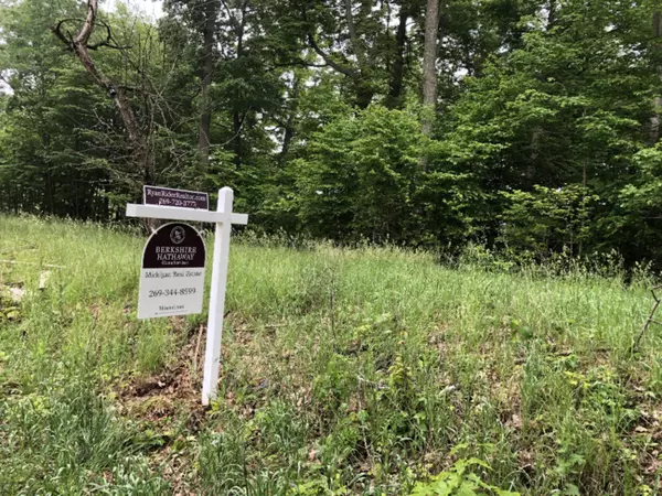 1st Street, Schoolcraft, MI 49087