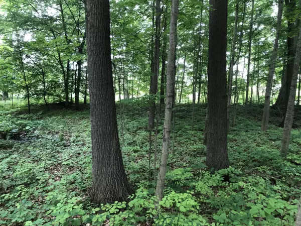 Schoolcraft, MI 49087,1st Street