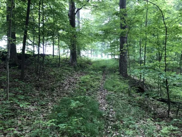 Schoolcraft, MI 49087,1st Street