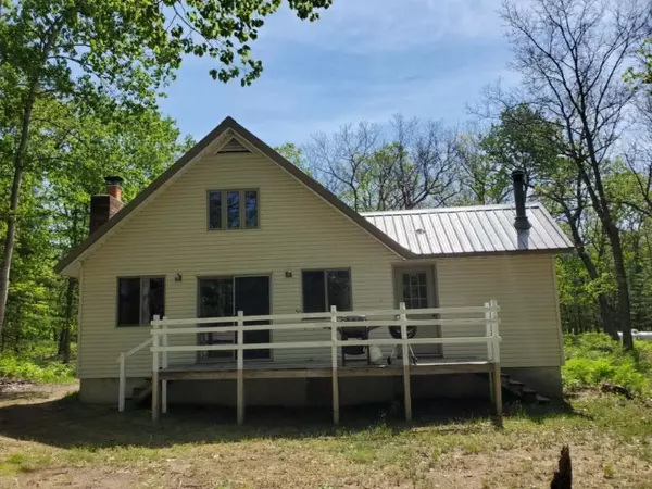 10965 S birchwood Drive, Baldwin, MI 49304