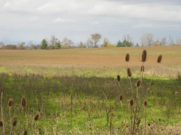 Bloomingdale, MI 49026,20 Acres 6th Avenue