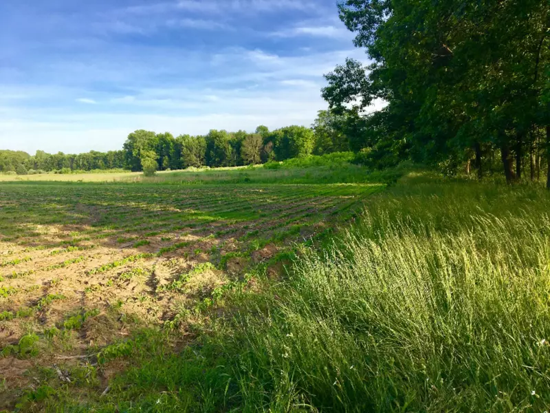 10861 Moran NE Street, Cedar Springs, MI 49319