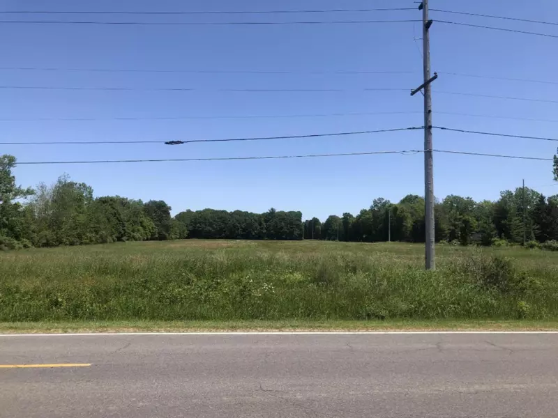 Lot 1 California, Bridgman, MI 49106