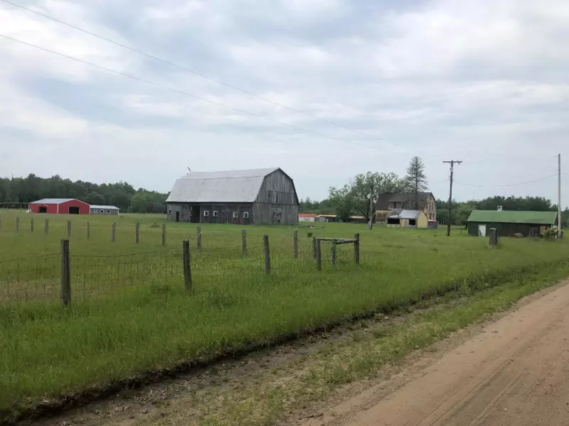 22097 Dorothy Road, Wellston, MI 49689