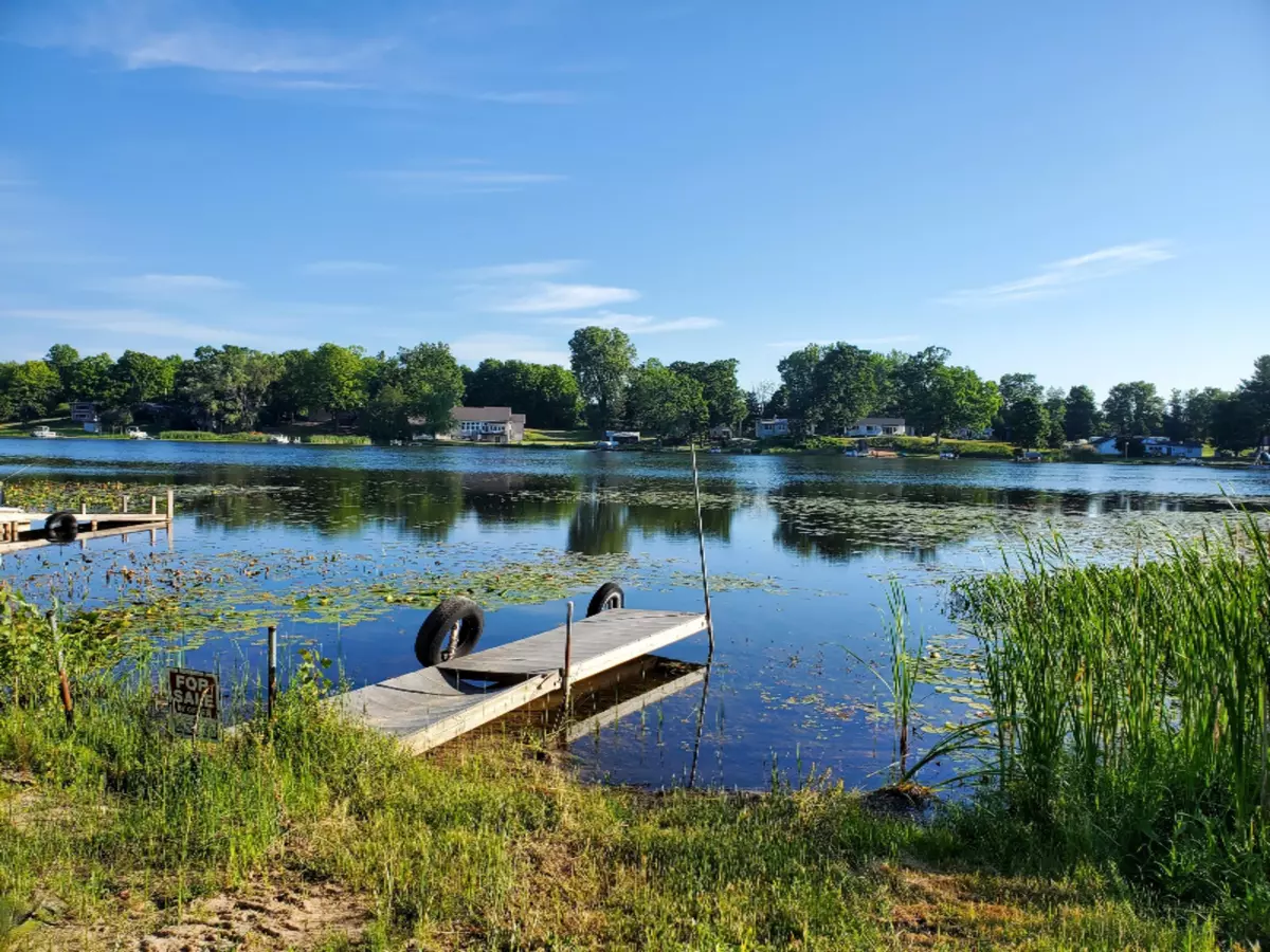 Belding, MI 48809,13181 S Slayton Lake Road