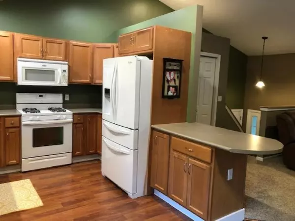 Dorr, MI 49323,4017 Valkyrie Lane