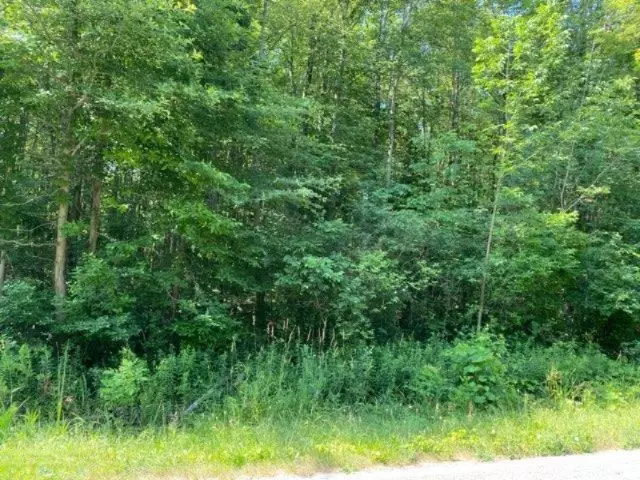 5918 113th Avenue #Parcel B, Pullman, MI 49450