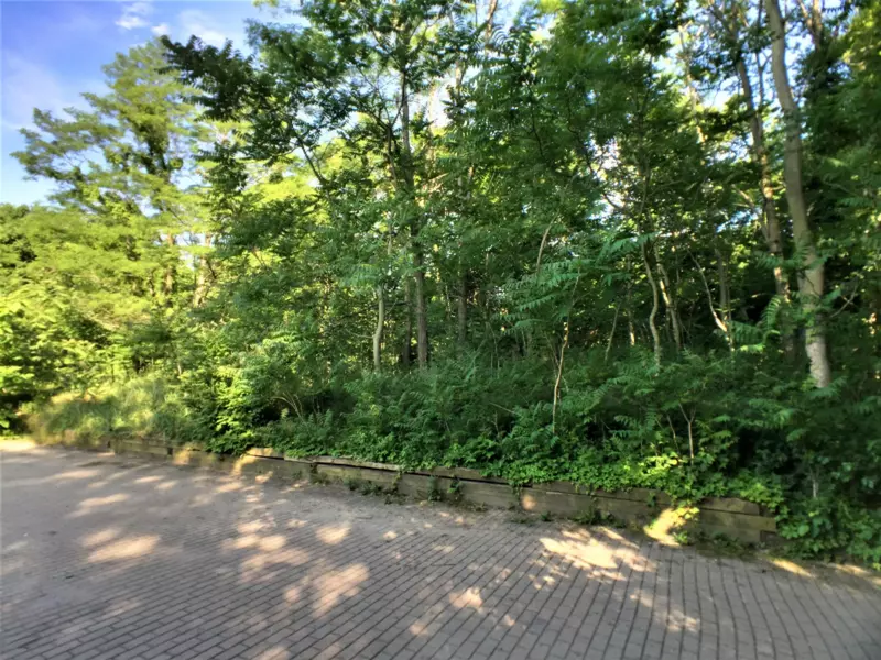 0 Westerlund Way, Sawyer, MI 49125