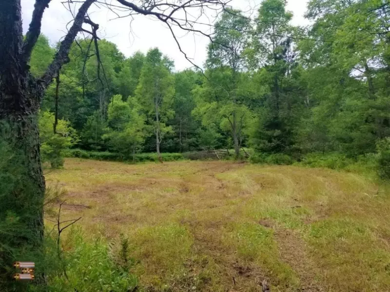 10229 E Coe Road, Luther, MI 49656