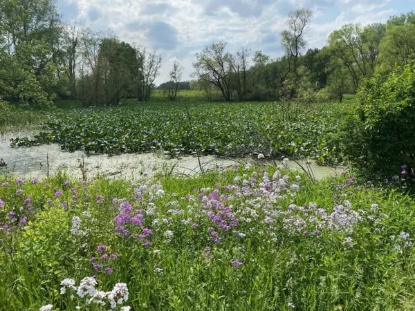 Cassopolis, MI 49031,62702 Tulip Tree Lane