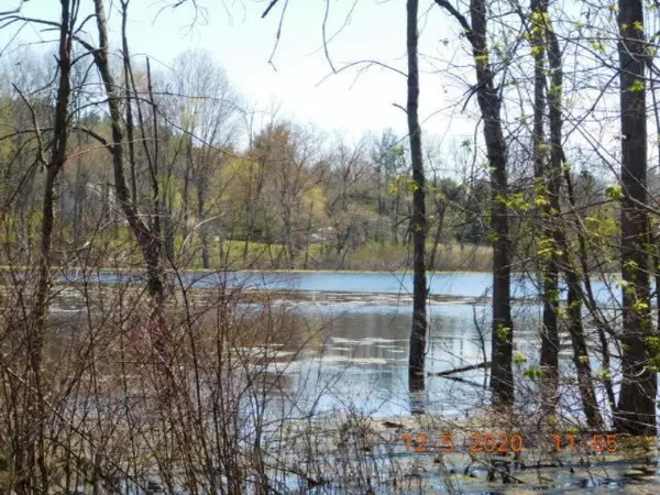 Saranac, MI 48881,000 Sayles