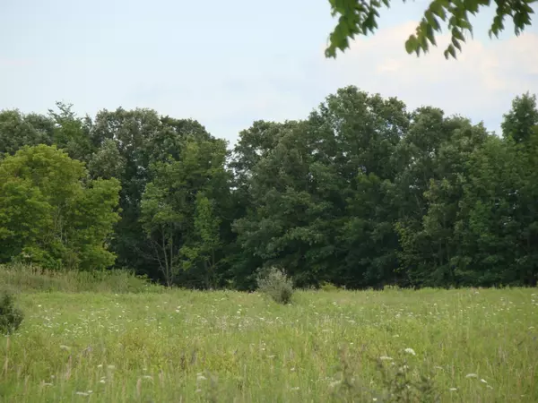 Hubbardston, MI 48845,0 Struble