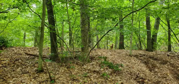 0 Lakewood, Whitehall, MI 49461